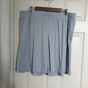 No brand gray shorts size 2XL A-4